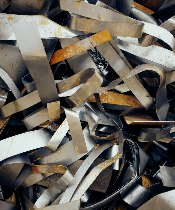 Maltauro Rottami<br>Padana Rottami